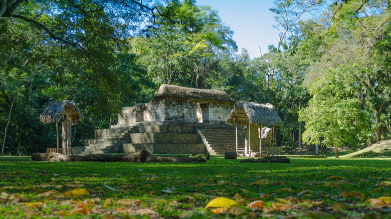 Ceibal Mayan settlement