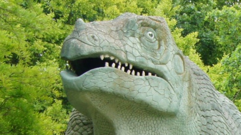 Tyrannosaurus rex skull on display