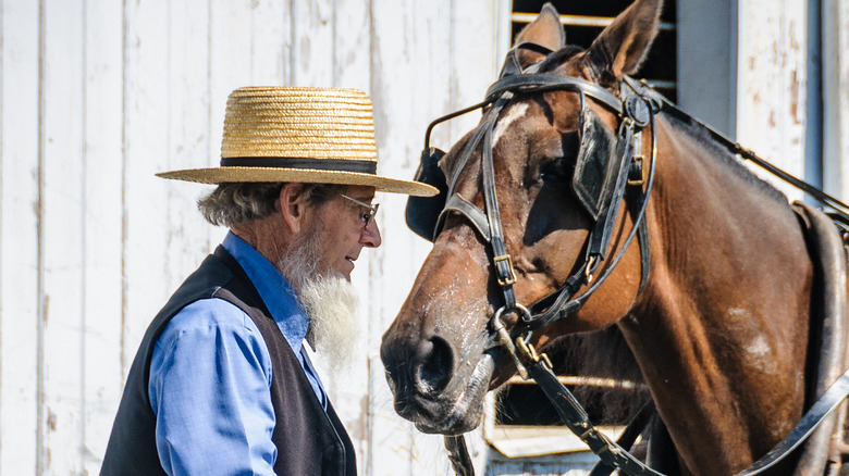 Amish man and horse