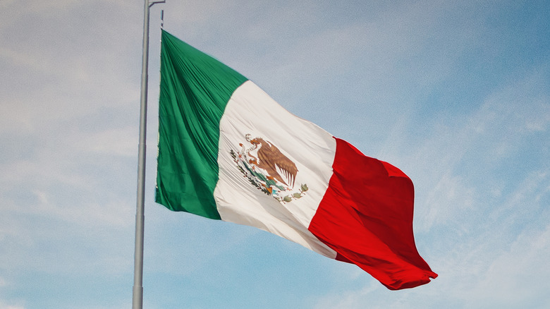 Mexican flag flying above Mexico City