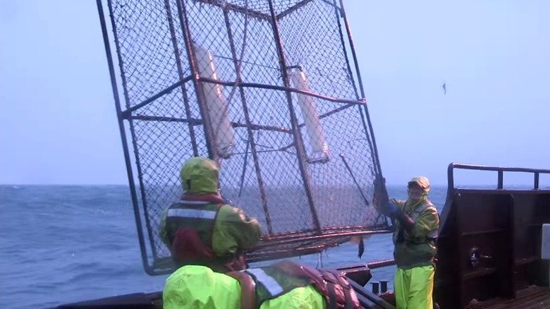 deadliest catch empty crab cage ship sea