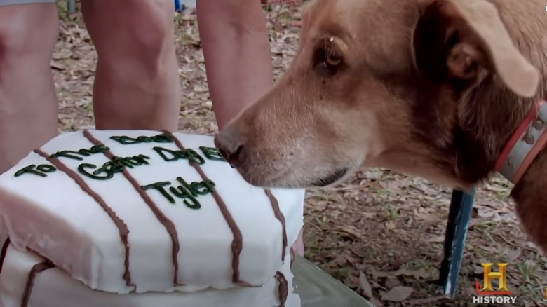 Tyler the dog retirement party cake