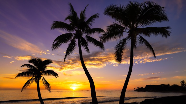 The sun setting over Hawaii