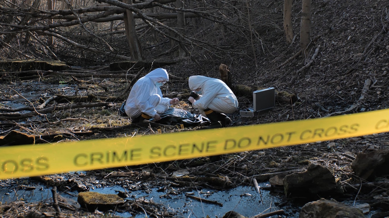 crime techs collecting evidence at a murder scene