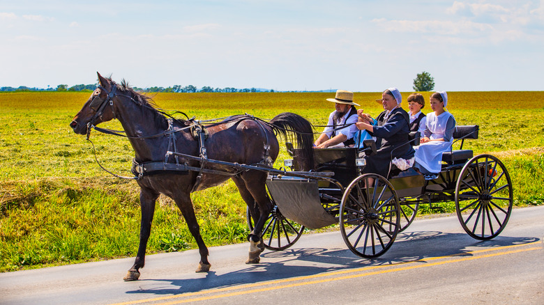 Amish family in horse-drawn buggy