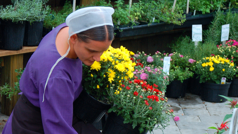 amish woman holding flower pots