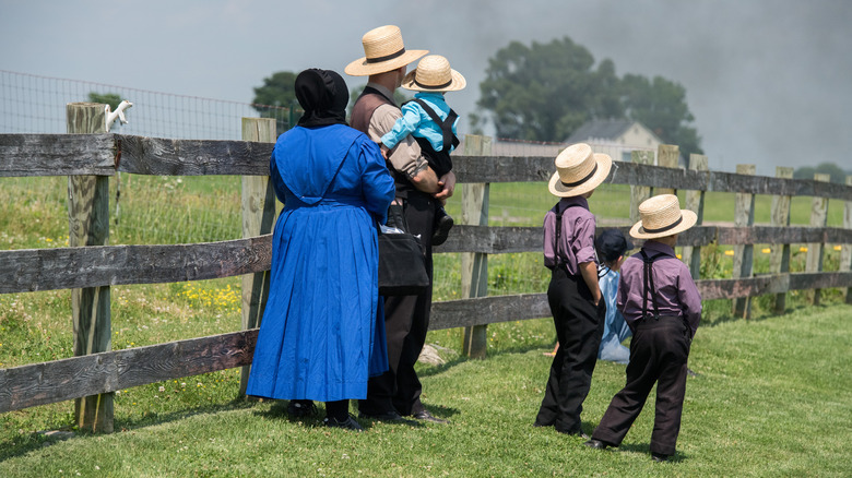 amish family standing next to fence