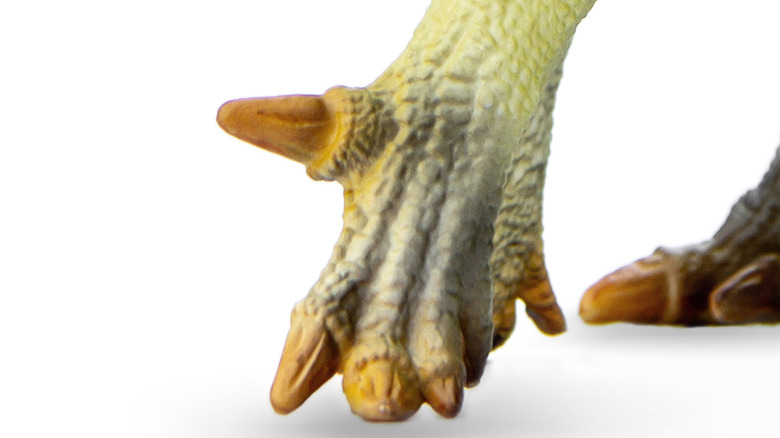 iguanadon hand model