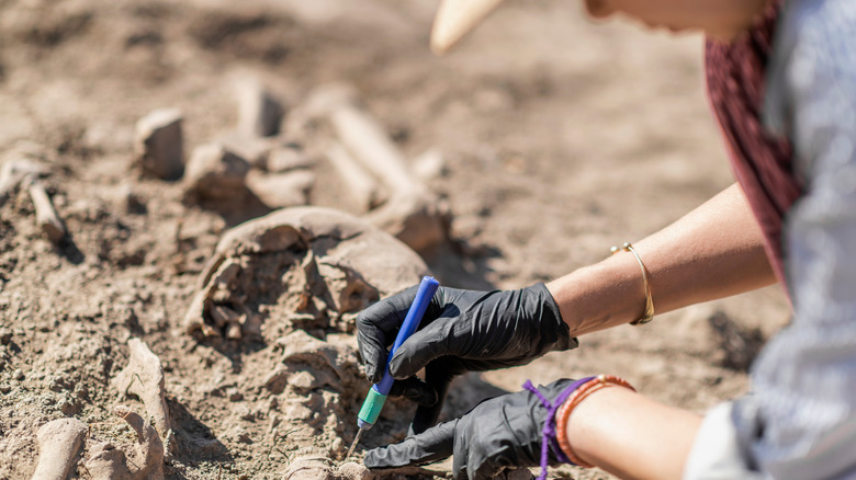 archaeological excavation of human bones