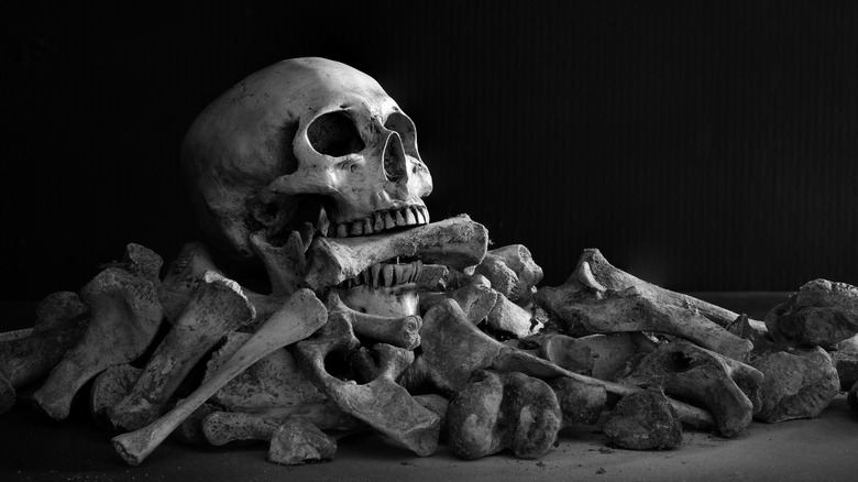 skull on a pile of bones