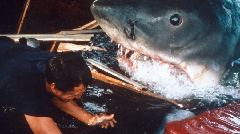 Roy Scheider fights mechanical shark