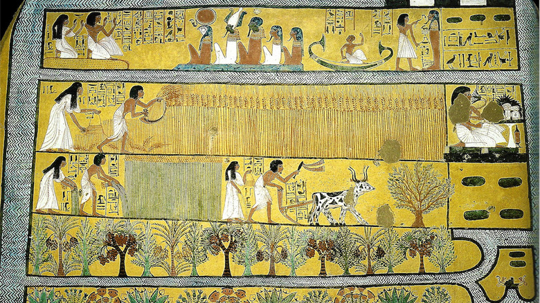 Depiction of Field of Reeds afterlife, ancient Egypt