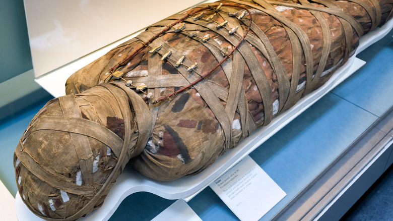 ancient egypt mummy in coffin
