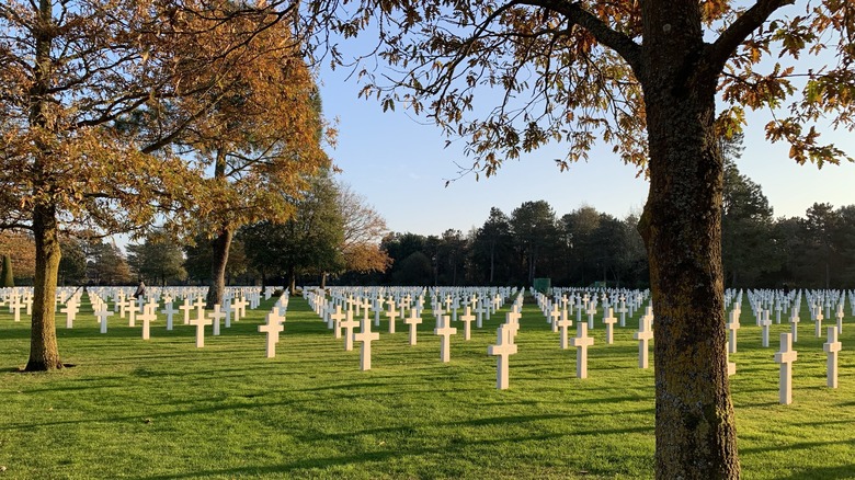 Gravestones in Normandy American Cemetery