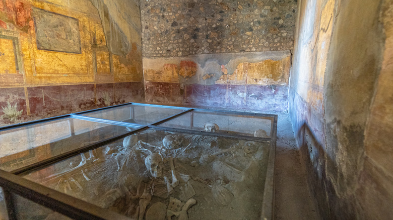 Pompeii excavation site display room
