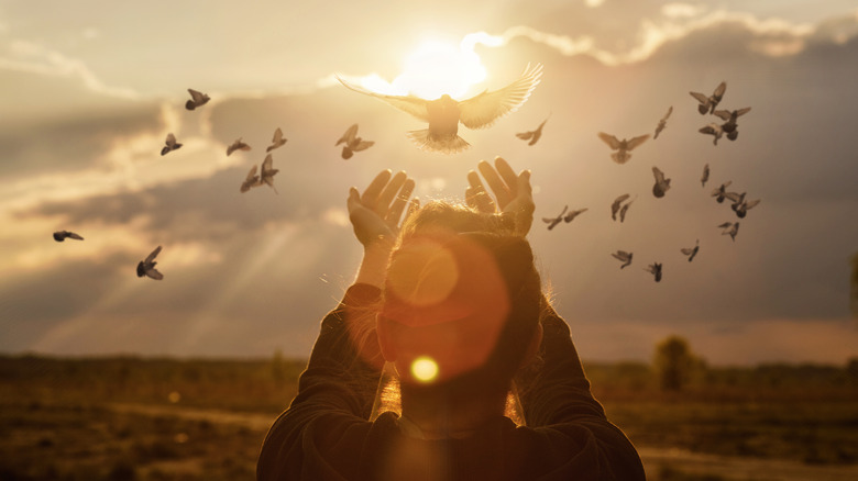 Woman holds hands to sunset and birds