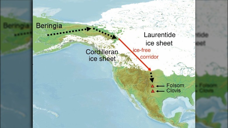 A map of the Bering Strait theory of how people spread from Asia to the Americas.