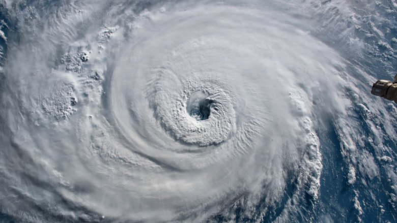 Hurricane, Cyclone, Typhoon