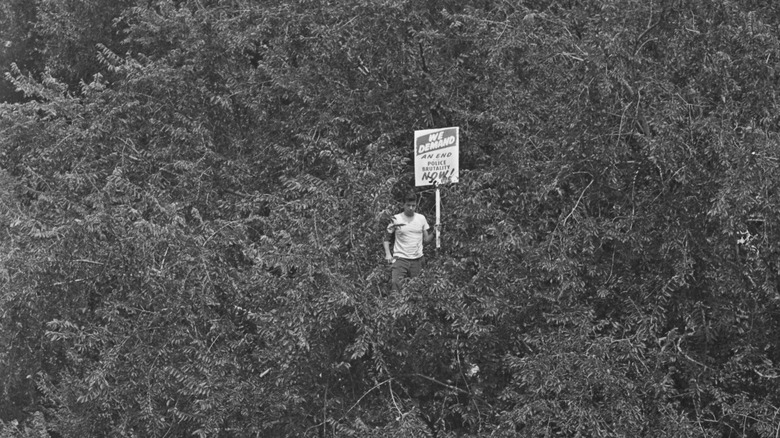 Man in tree holding sign