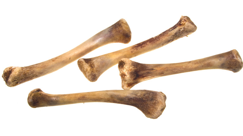 Photo of bones