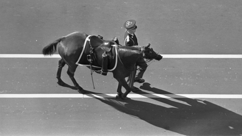 riderless horse walking in John F. Kennedy's funeral