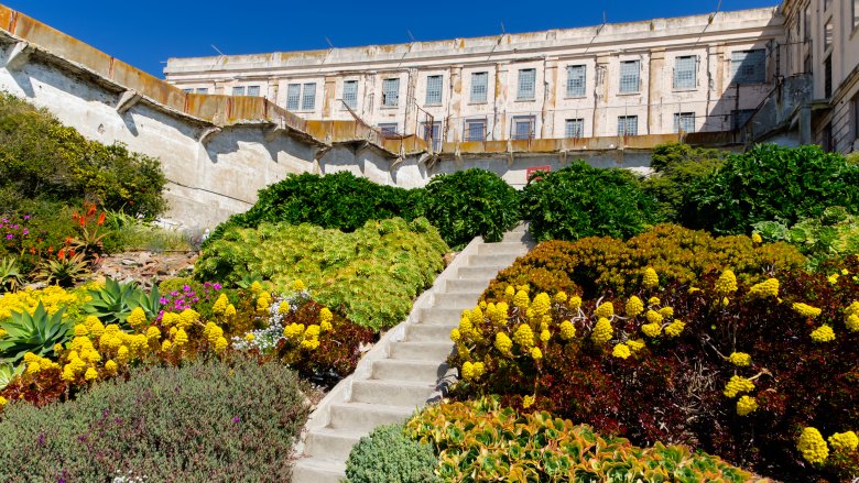 Alcatraz gardens