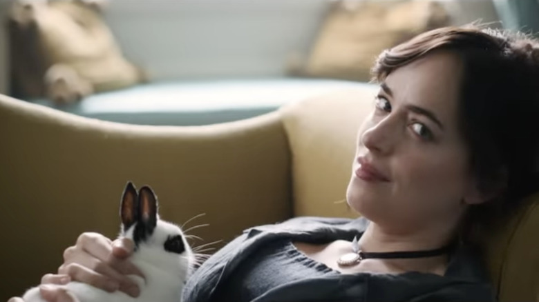 Anne Elliot played by Dakota Johnson with pet rabbit Persuasion 2022