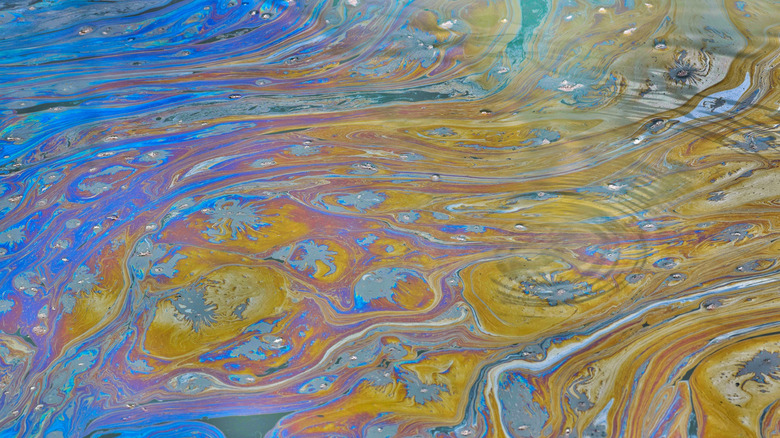 oily water in Texas bayou