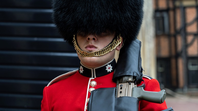 royal guard bearskin