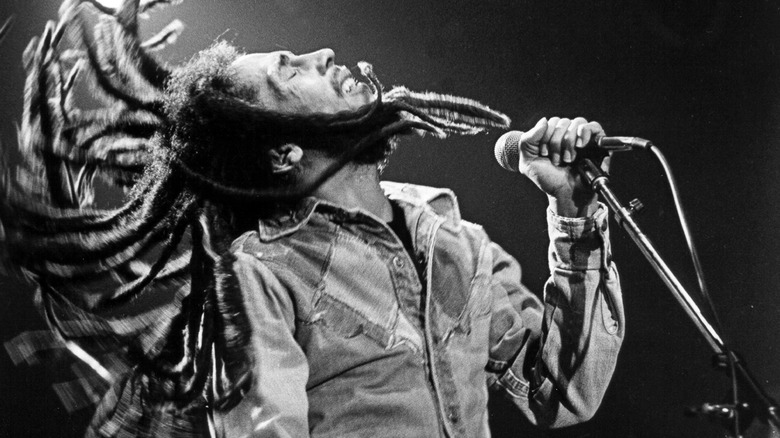 Bob Marley hair 