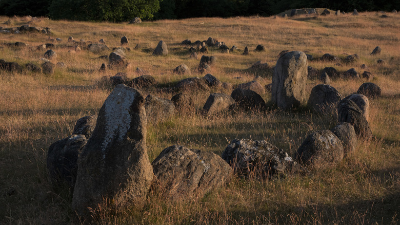 Viking burial ground in Denmark with stone markers