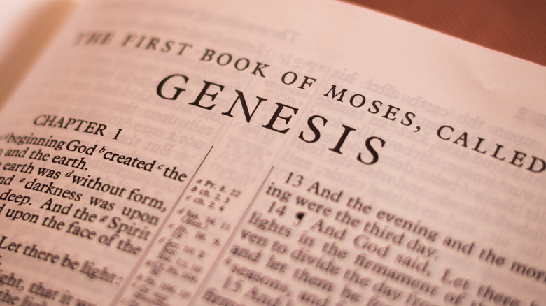 Book of Genesis in the Bible
