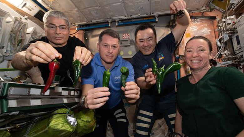 Astronauts holding chile peppers