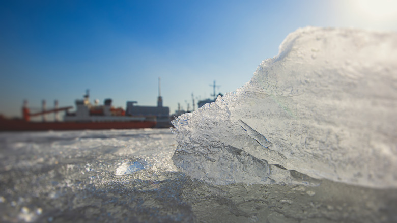Cargo ship trapped in ice