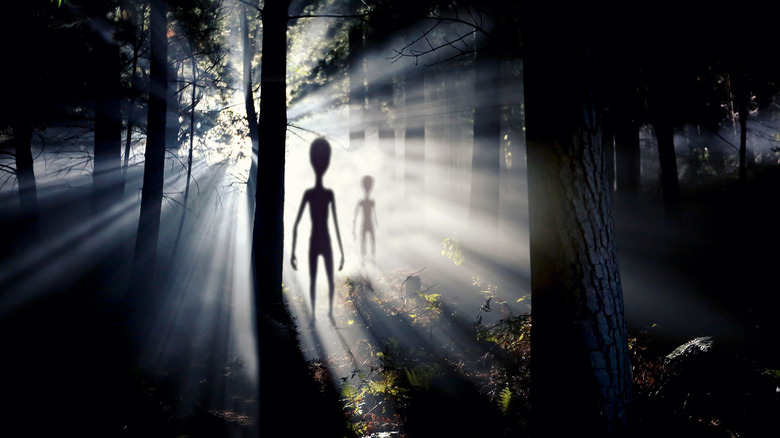 aliens invading forest