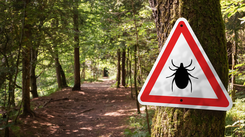 Tick warning sign in woods