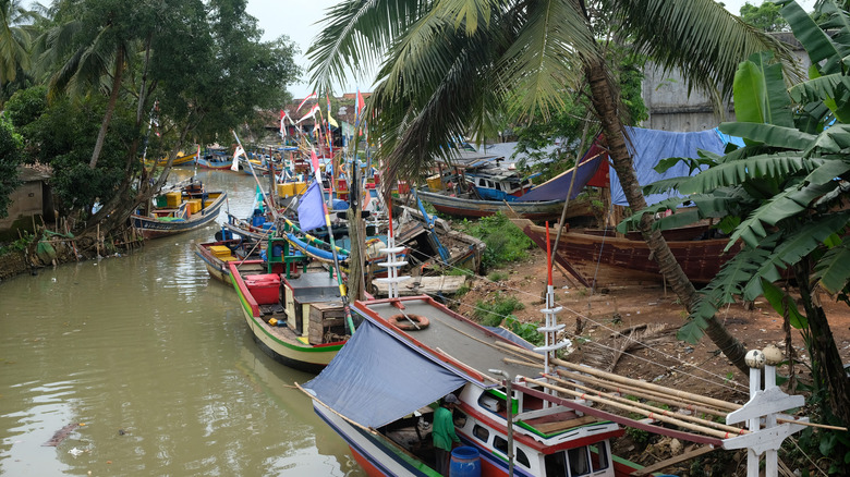 Fishing boats lined up in river