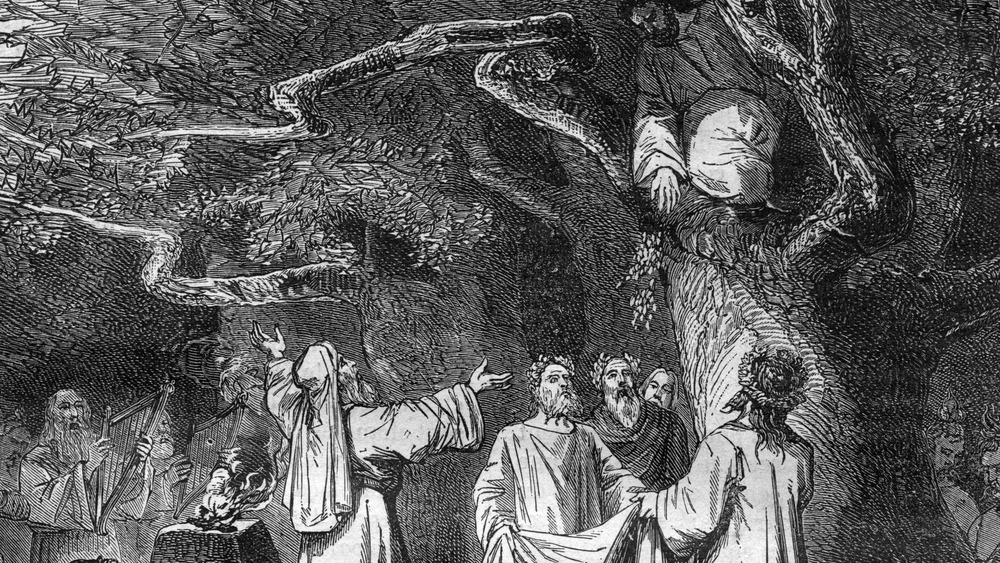 Druids gathering mistletoe