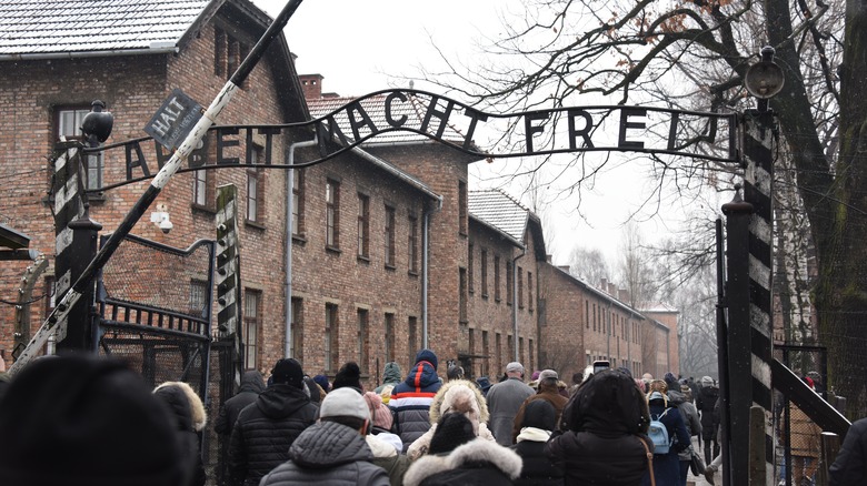the auschwitz concentration camp