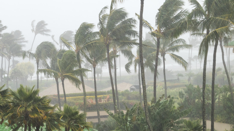 Hawaii during hurricane