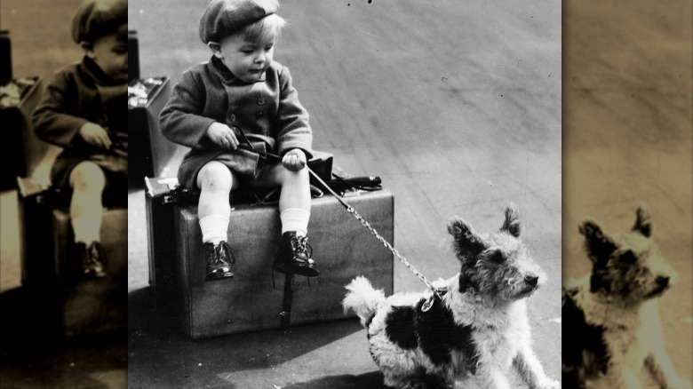 world war II era boy holding dog
